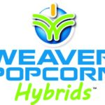 Weaver Popcorn Hybrids